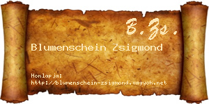 Blumenschein Zsigmond névjegykártya